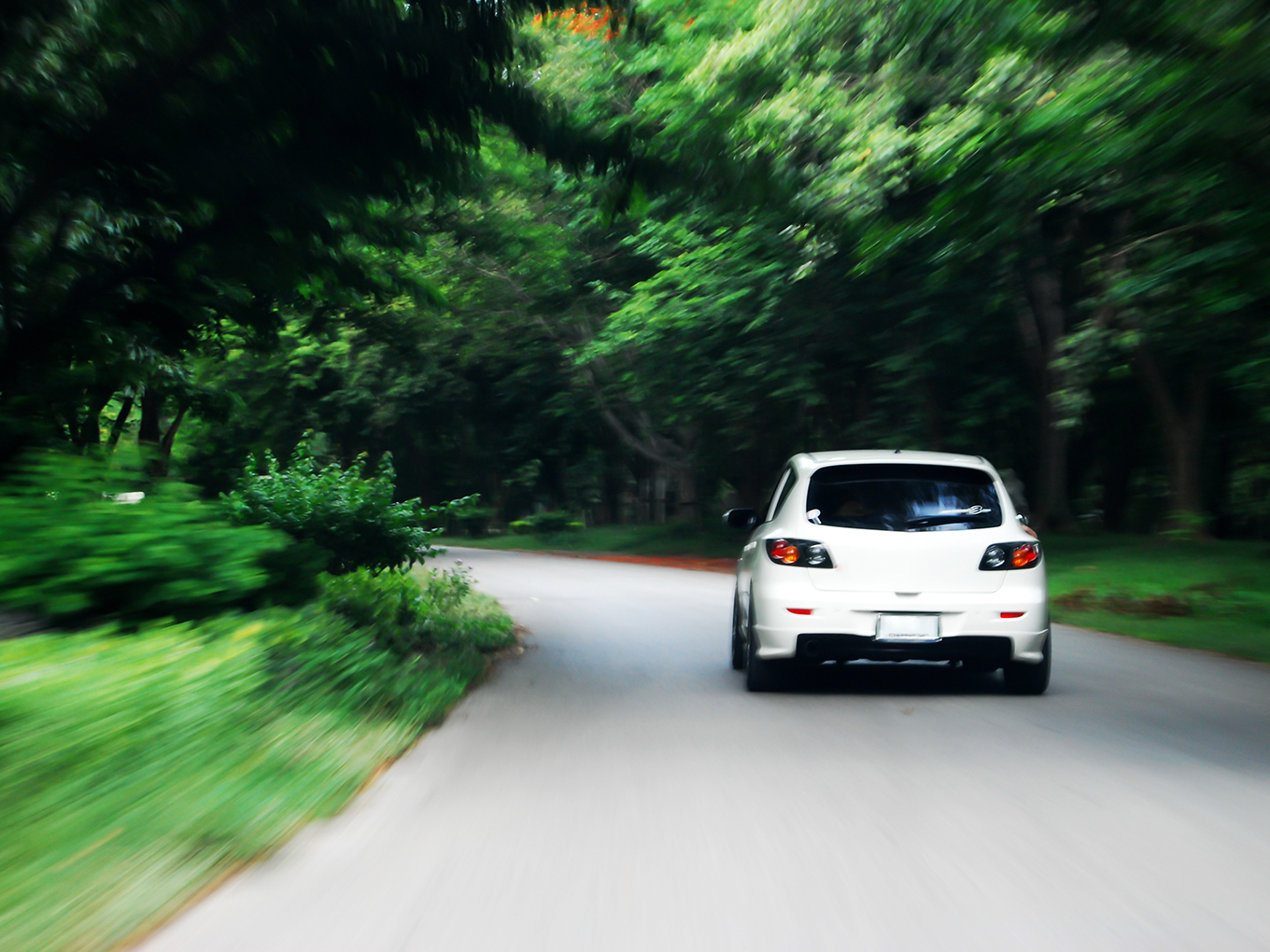 White Car Driving on a windy forest road Read of a white car driving on a windy forest road